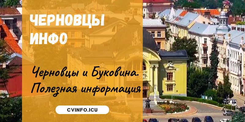 cv-info