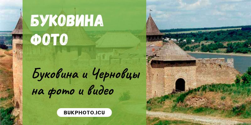 buk-photo